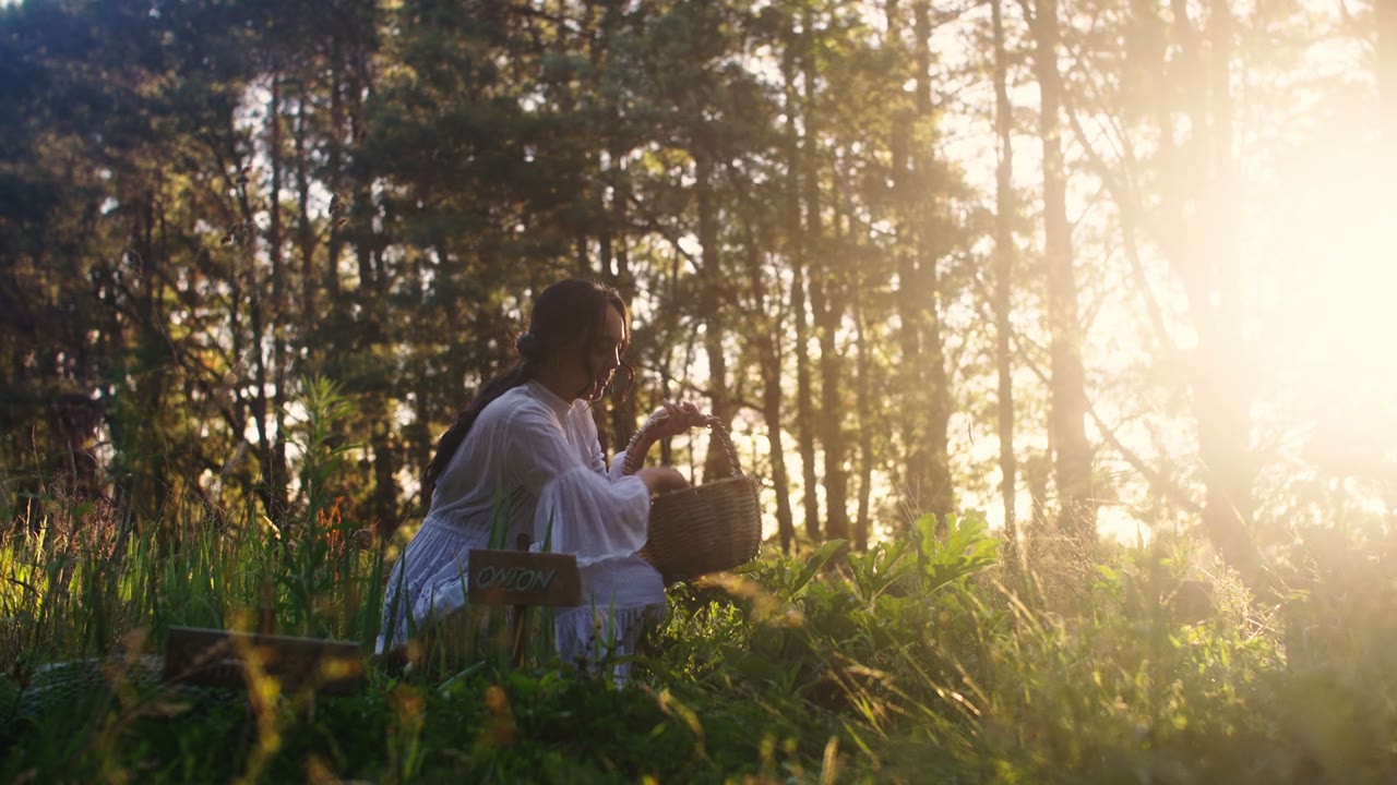 Stay for the last light.